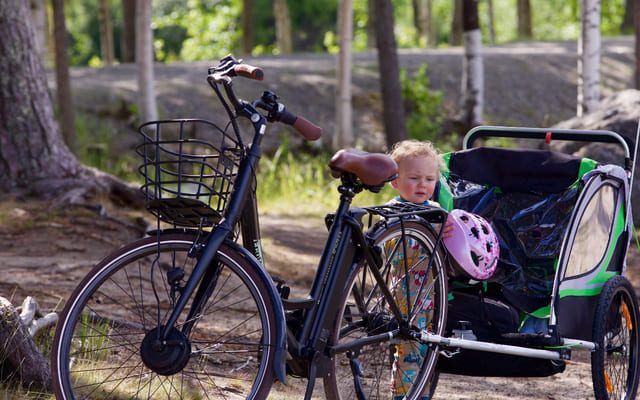 Los Mejores Remolques de Bicicleta Para Niños: Grandes Paseos En Familia